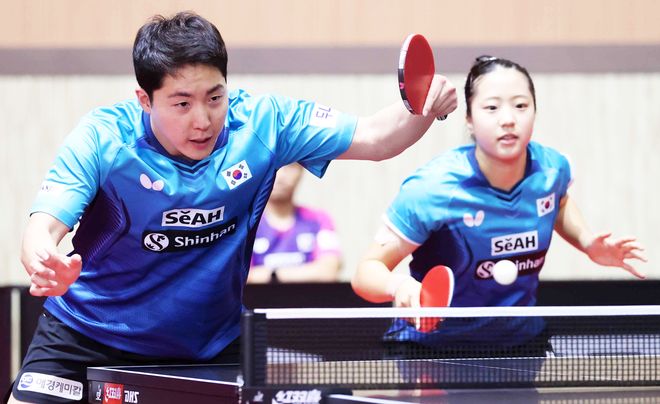 化树立新的 化树立新的